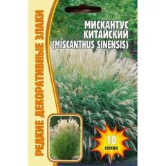 Мискантус китайский 10 шт РЕДКИЕ СЕМЕНА