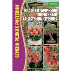 Красивотычинник Лимонный 0,1 г РЕДКИЕ СЕМЕНА