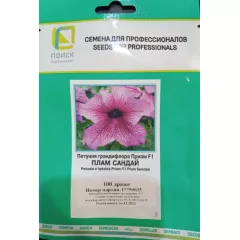 Петуния грандифлора Призм  Плам Сандай 100 шт ПОИСК