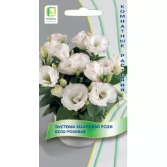 Эустома махровая Рози Бело-розовая 5 шт ПОИСК