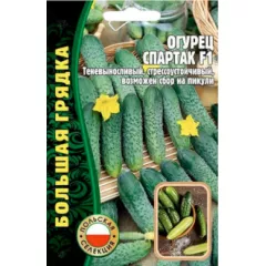 Огурец Спартак F1 (Польша) 50 шт РЕДКИЕ СЕМЕНА