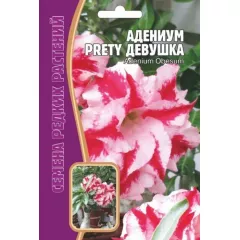 Адениум Прелестная девушка 3 шт РЕДКИЕ СЕМЕНА