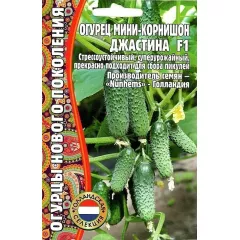 Огурец Джастина F1 мини корнишон 6 шт РЕДКИЕ СЕМЕНА