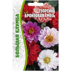 Георгина Бронзовая смесь 20 шт РЕДКИЕ СЕМЕНА