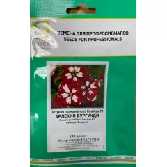 Петуния  грандифлора Кан Кан Арлекин Бургунди  100 шт ПОИСК