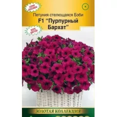 Петуния стелющаяся Бэби Пурпурный бархат F1 5 шт ЕС