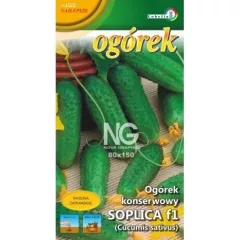 Огурец Соплица F1 LOBELIA II 5 г