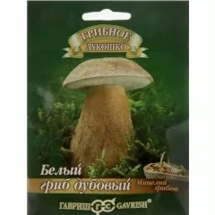 Белый Гриб Дубовый на зерновом  субстрате 15 мл