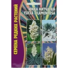Юкка нитчатая  YUCCA FILAMENTOSA 15 шт РЕДКИЕ СЕМЕНА