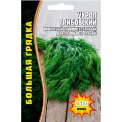 Укроп Грибовский 2500 шт РЕДКИЕ СЕМЕНА