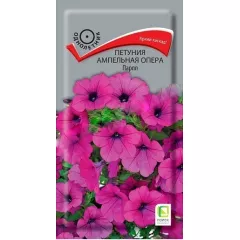 Петуния ампельная Опера Парпл 5 шт ПОИСК