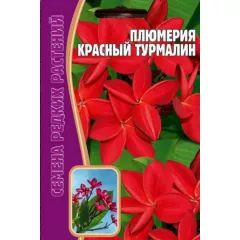 Плюмерия Красный Турмалин 3 шт РЕДКИЕ СЕМЕНА