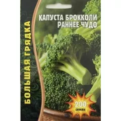 Капуста брокколи Раннее чудо 200 шт РЕДКИЕ СЕМЕНА