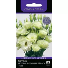 Эустома кр цв ЭйБиСи Грин 10 шт ПОИСК