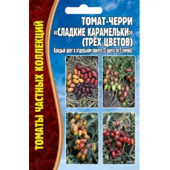 Томат-черри Сладкие Карамельки (трёх цветов) 3х5 шт РЕДКИЕ СЕМЕНА