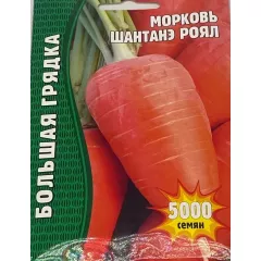 Морковь Шантане Роял 5000 шт РЕДКИЕ СЕМЕНА