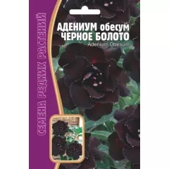 Адениум Черное Болото 3 шт РЕДКИЕ СЕМЕН