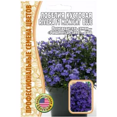 Лобелия кустовая Ривьера Миднай Блю F1 5 шт РЕДКИЕ СЕМЕНА