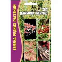 Хна Лавсония Инермис 10 шт РЕДКИЕ СЕМЕНА