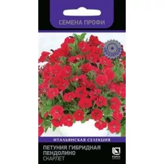 Петуния гибридная Пендолино Скарлет 5 шт ПОИСК