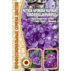 Маттиола CINDERELLA PURPLE карликовая махровая 5 шт РЕДКИЕ СЕМЕНА