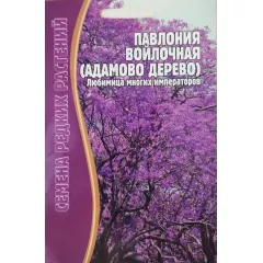 Павлония войлочная Адамово дерево 10 шт РЕДКИЕ СЕМЕНА