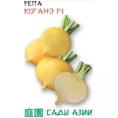 Репа Коганэ F1 0,5 г Сады Азии