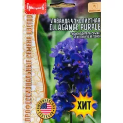 Лаванда ELEGANCE PURPLE 5 шт РЕДКИЕ СЕМЕНА