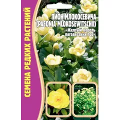 Пион Млокосевича 3 шт РЕДКИЕ СЕМЕНА