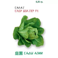 Салат Слоу Болтер F1 0,25 г Сады Азии