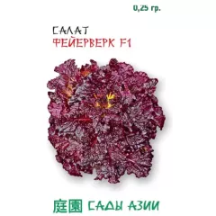 Салат латук Фейерверк F1 0,25 г Сады Азии