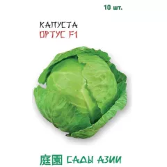 Капуста б/к Ортус F1 10 шт Сады Азии
