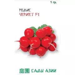 Редис Чериет F1 1 г Сады Азии