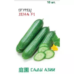 Огурец Зена F1 10 шт Сады Азии