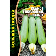 Кабачок белоплодный Малыш 15 шт РЕДКИЕ СЕМЕНА