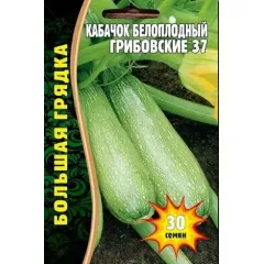 Кабачок белоплодный Грибовские 37  30 шт РЕДКИЕ СЕМЕНА