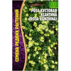Роза кустовая Ксантина 10 шт РЕДКИЕ СЕМЕНА