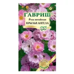 Роза китайская Крылья Ангела 5 шт ГАВРИШ