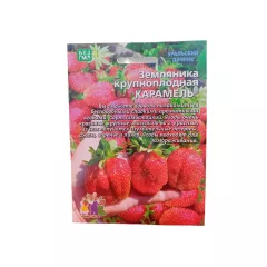 Земляника Карамель крупноплодная 10 шт УРАЛЬСКИЙ ДАЧНИК