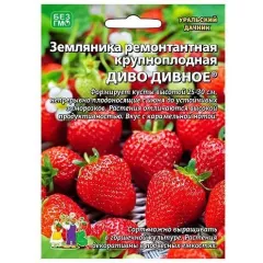 Земляника Диво Дивное ремонтантная 10 шт УРАЛЬСКИЙ ДАЧНИК