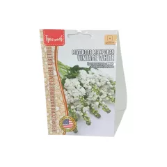 Маттиола махровая VINTAGE WHITE 5 шт РЕДКИЕ СЕМЕНА