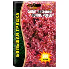 Салат листовой Лолла Росса 500 шт РЕДКИЕ СЕМЕНА