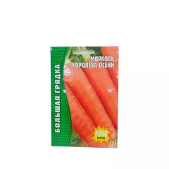 Морковь Королева Осени 3500 шт РЕДКИЕ СЕМЕНА