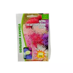 Астра Гигантские Лучи смесь 200 шт РЕДКИЕ СЕМЕНА