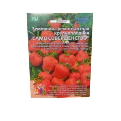Земляника Само Совершенство ремонтантная 10 шт УРАЛЬСКИЙ ДАЧНИК