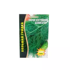 Укроп Аллигатор 2500 шт РЕДКИЕ СЕМЕНА