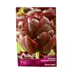 Тюльпан махровый поздний Блэк Хиро 7 шт ПОИСК