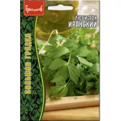 Любисток Иранский 0,2 г РЕДКИЕ СЕМЕНА