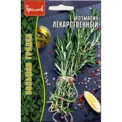 Розмарин Лекарственный 20 шт РЕДКИЕ СЕМЕНА