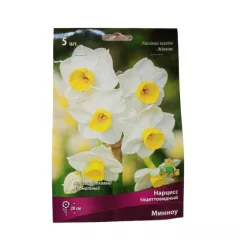 Нарцисс тацеттовидный Минноу 5 шт ПОИСК
